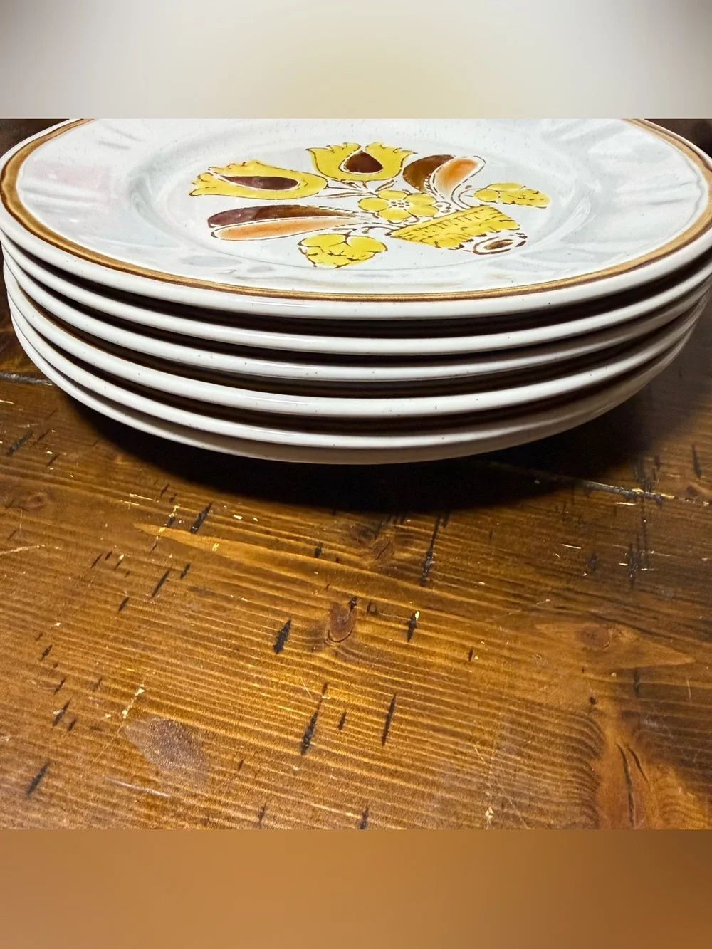6 Vintage Hearthside Bountiful Stoneware Dinner Plates - Hand Painted Japan